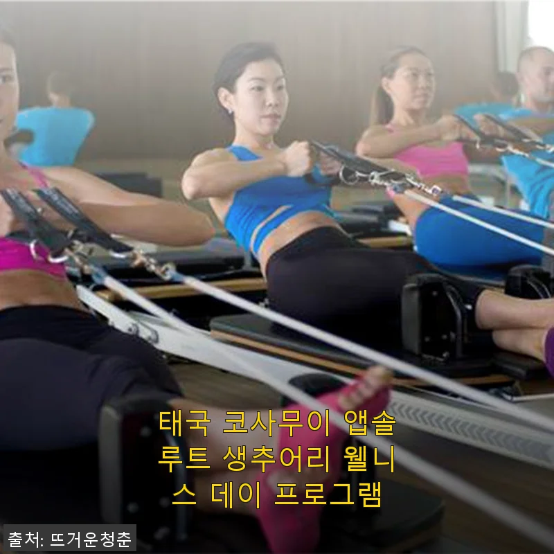태국 코사무이 앱솔루트 생추어리 웰니스 데이 프로그램 사용후기