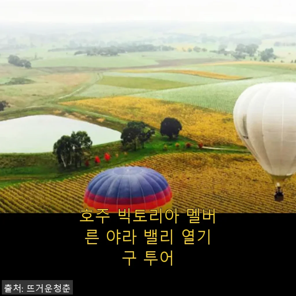 호주 빅토리아 멜버른 야라 밸리 열기구 투어 체험기