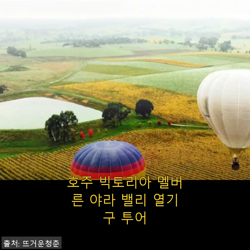 호주 빅토리아 멜버른 야라 밸리 열기구 투어 체험기
