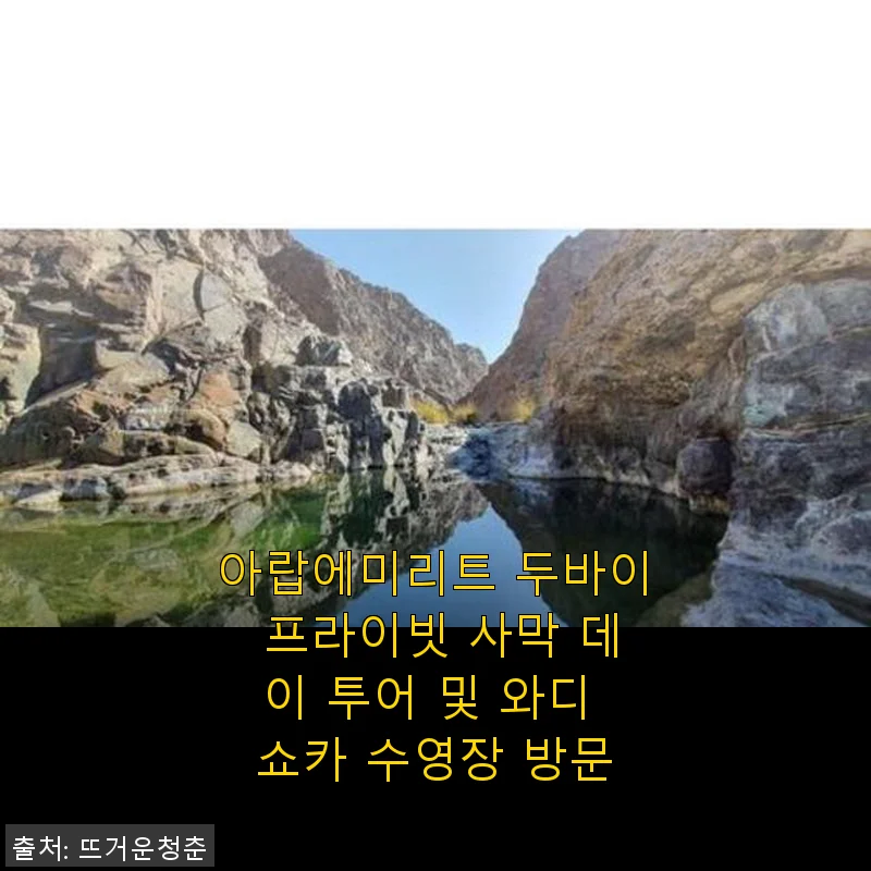 아랍에미리트 두바이 프라이빗 사막 데이 투어 및 와디 쇼카 수영장 방문 후기
