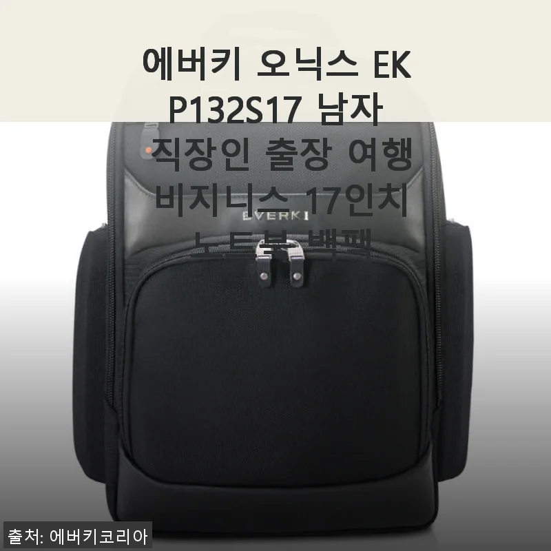 에버키 오닉스 EKP132S17 17인치 남성 비즈니스 노트북 백팩 사용후기