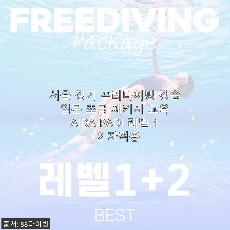 서울 경기 프리다이빙 강습 입문 초급 패키지 사용후기와 상세 소개