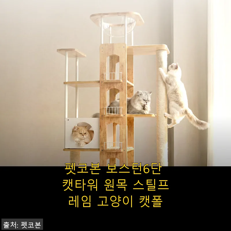 펫코본 보스턴6단 캣타워 원목 스틸프레임 사용후기 – 집사와 냥이 모두 만족한 선택