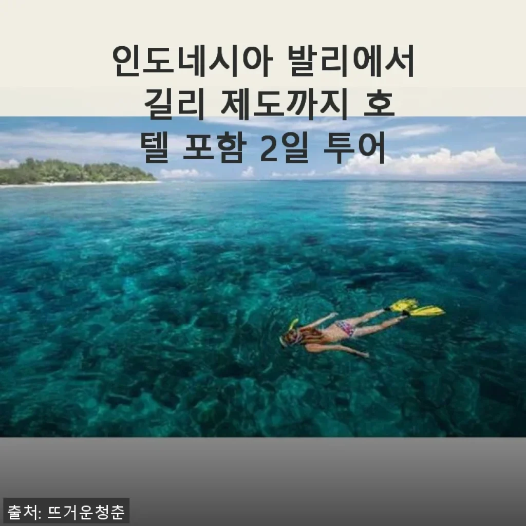 인도네시아 발리에서 길리 제도까지 호텔 포함 2일 투어 후기