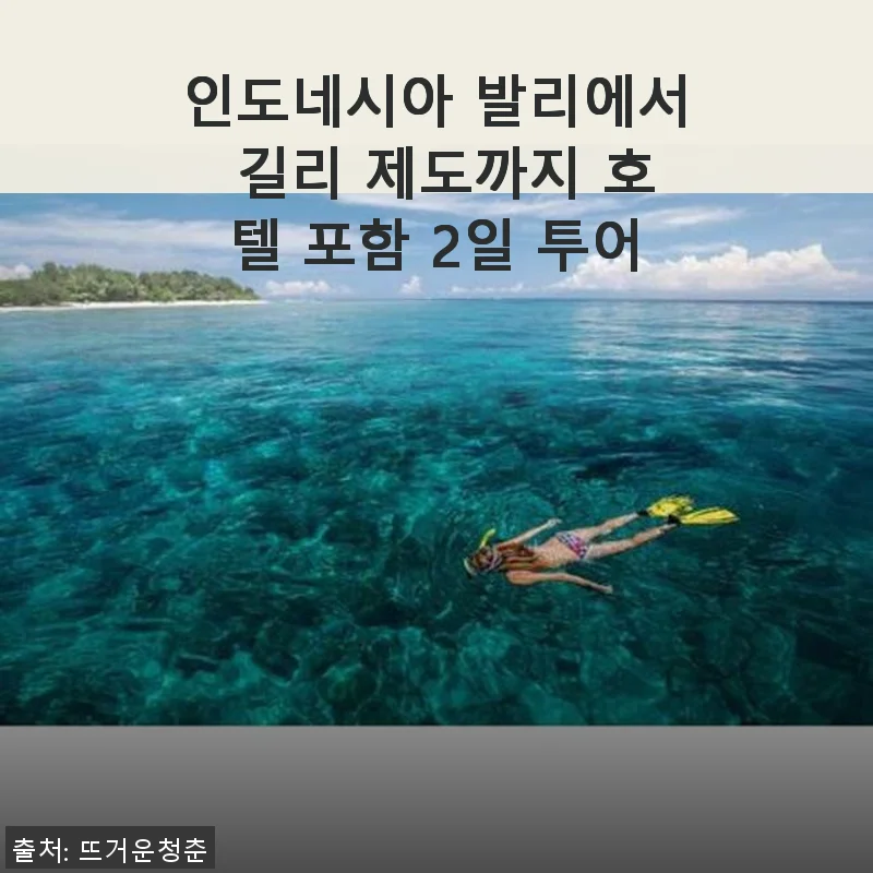 인도네시아 발리에서 길리 제도까지 호텔 포함 2일 투어 후기