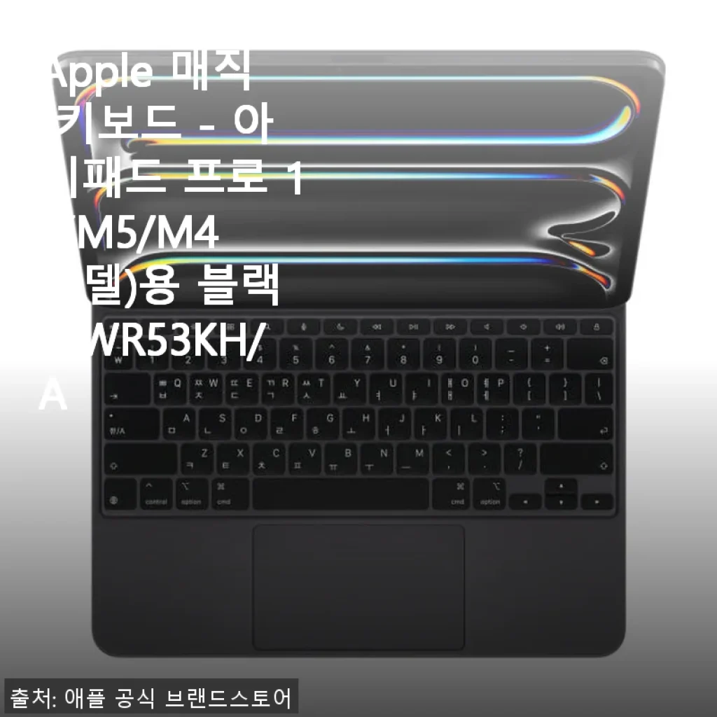 Apple 매직 키보드 아이패드 프로 13용 블랙 MWR53KH/A 사용후기