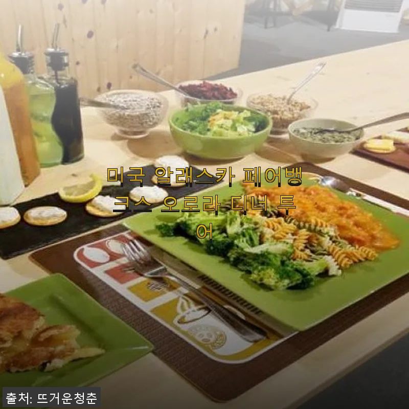 알래스카 페어뱅크스 오로라 디너 투어 사용후기