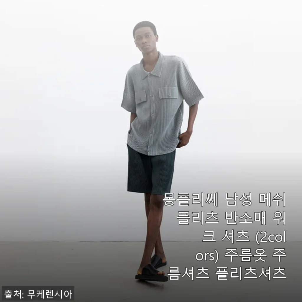 몽플리쎄 남성 메쉬 플리츠 반소매 워크 셔츠 사용 후기