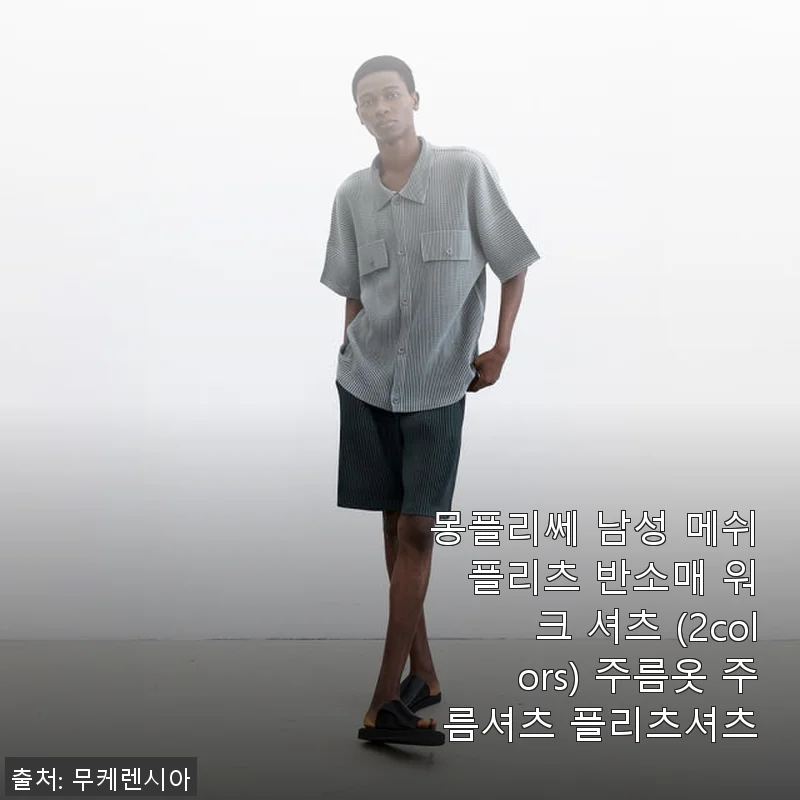 몽플리쎄 남성 메쉬 플리츠 반소매 워크 셔츠 사용 후기