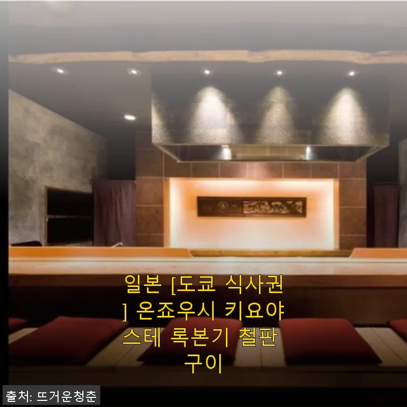 도쿄 온죠우시 키요야스테 록본기 철판 구이 식사권 사용후기