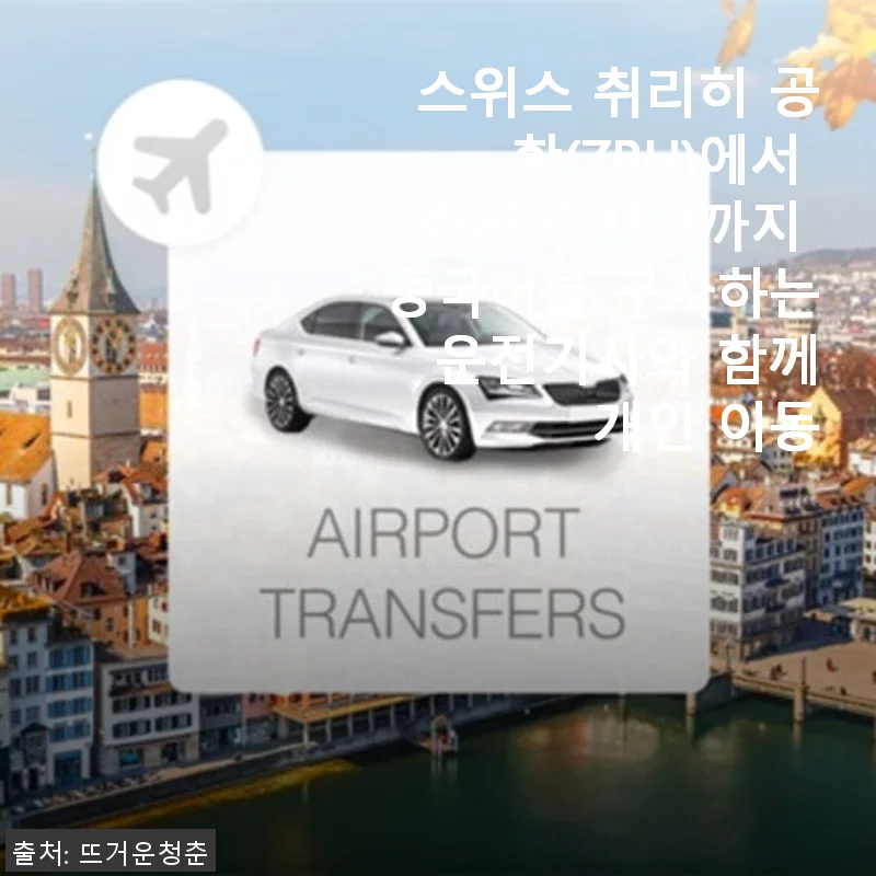 스위스 취리히 공항에서 시내까지 중국어 운전기사와 함께한 개인 이동 후기