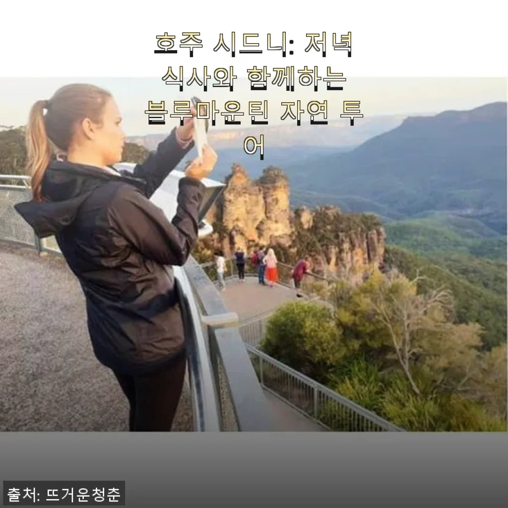 호주 시드니 블루마운틴 자연 투어 후기: 저녁 식사와 함께한 특별한 경험