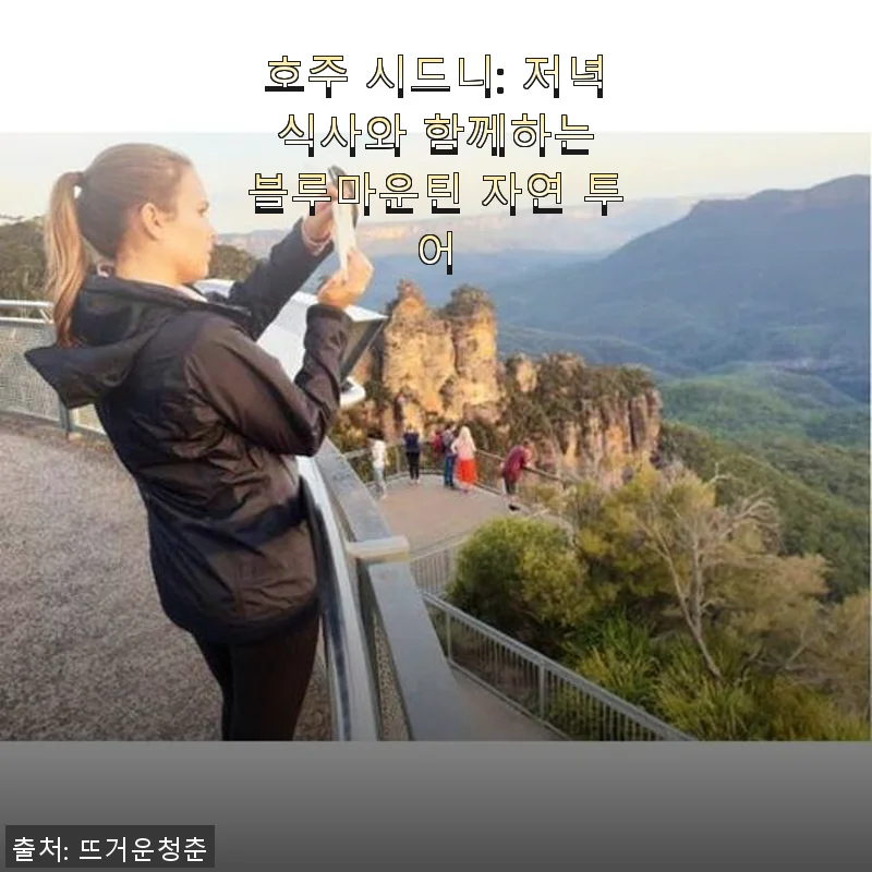 호주 시드니 블루마운틴 자연 투어 후기: 저녁 식사와 함께한 특별한 경험