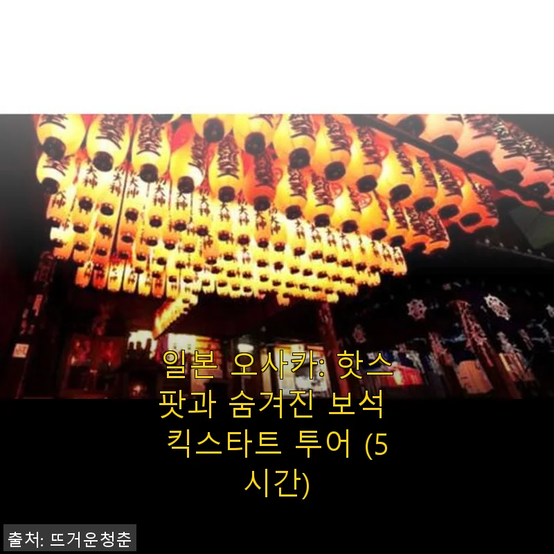 일본 오사카: 핫스팟과 숨겨진 보석 킥스타트 투어 5시간 체험 후기