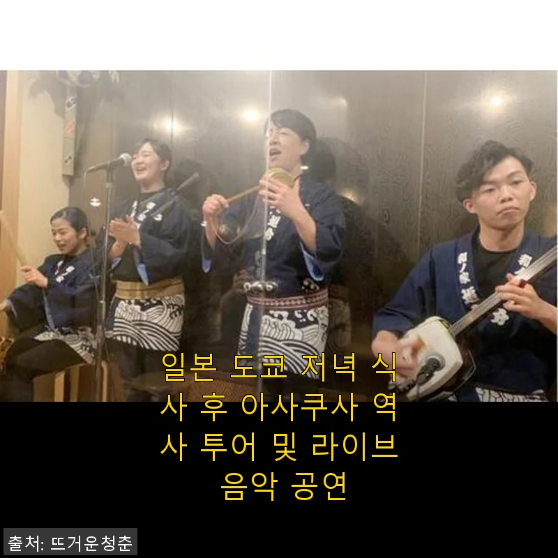 일본 도쿄 저녁 식사 후 아사쿠사 역사 투어 및 라이브 음악 공연 사용후기