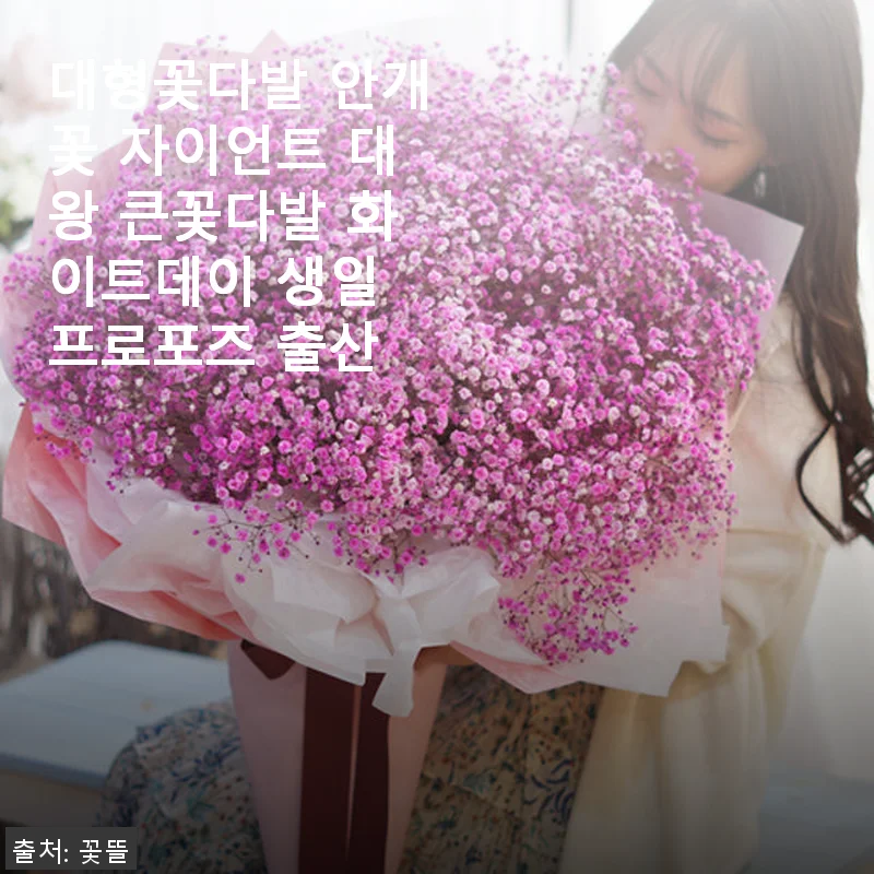 대형꽃다발 안개꽃 자이언트 대왕 큰꽃다발 사용후기