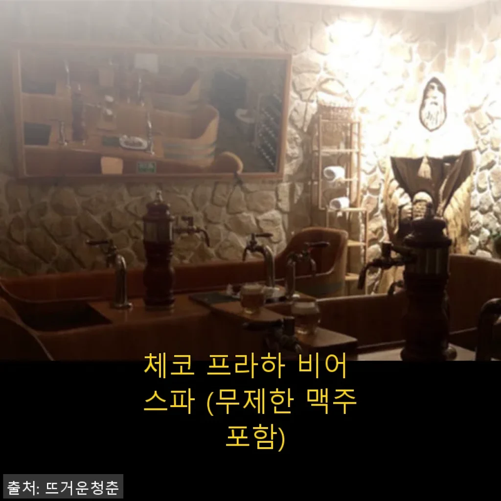 체코 프라하 비어 스파 무제한 맥주 포함, 직접 체험한 솔직한 후기
