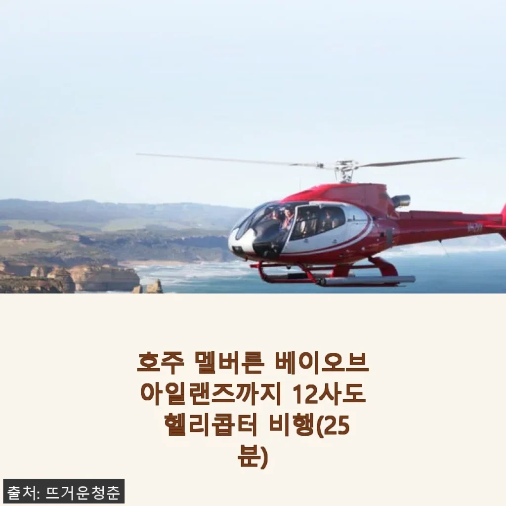 호주 멜버른 베이오브아일랜즈 헬리콥터 비행 체험 후기