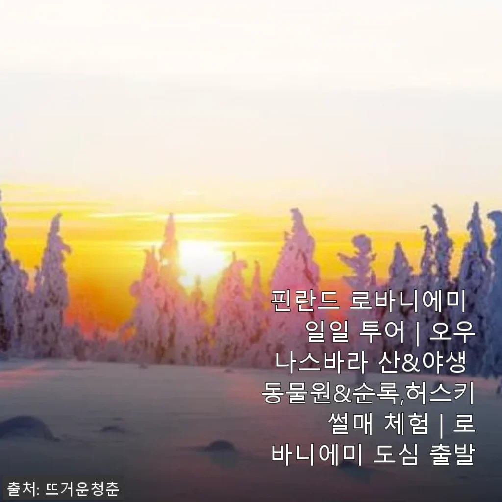 핀란드 로바니에미 일일 투어 사용 후기 – 오우나스바라 산과 야생 동물원, 순록과 허스키 썰매 체험까지