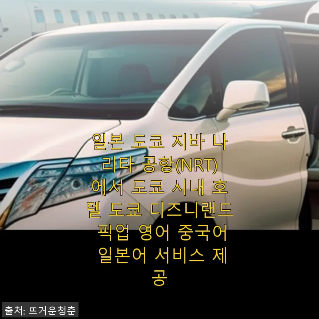 도쿄 나리타 공항 픽업 서비스 사용 후기: 편리한 다국어 지원과 쾌적한 이동 경험