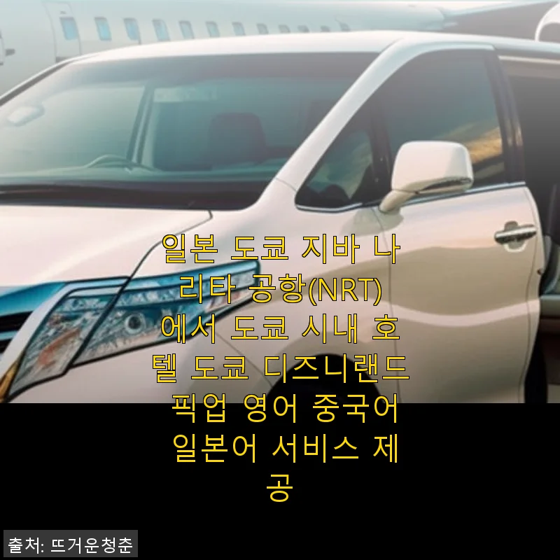 도쿄 나리타 공항 픽업 서비스 사용 후기: 편리한 다국어 지원과 쾌적한 이동 경험