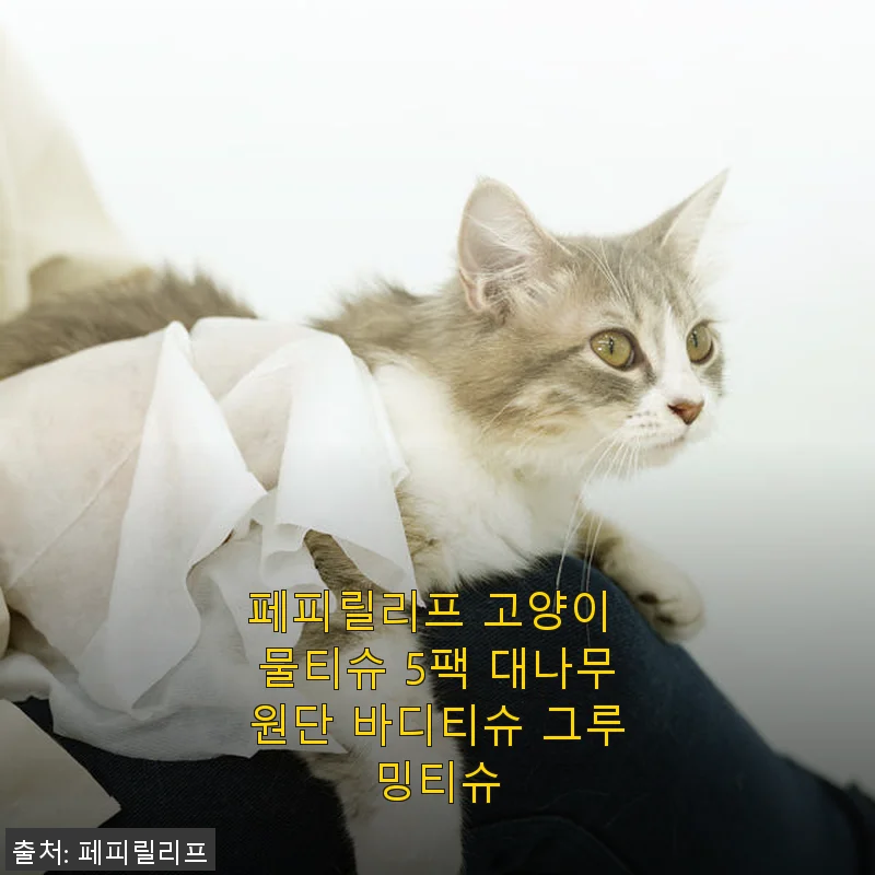 페피릴리프 고양이 물티슈 5팩 사용후기: 겨울철 반려묘 그루밍에 딱 맞는 선택