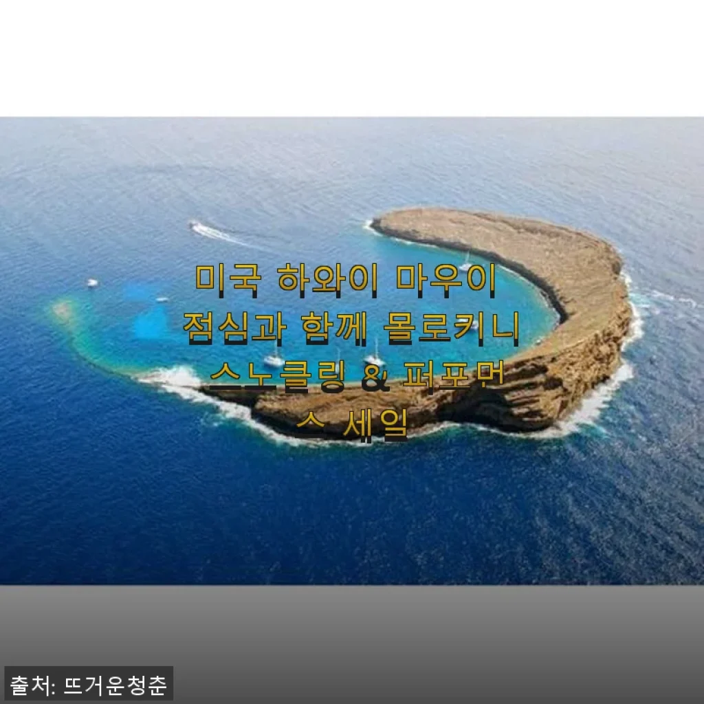 미국 하와이 마우이 몰로키니 스노클링 & 퍼포먼스 세일, 직접 경험한 생생 후기