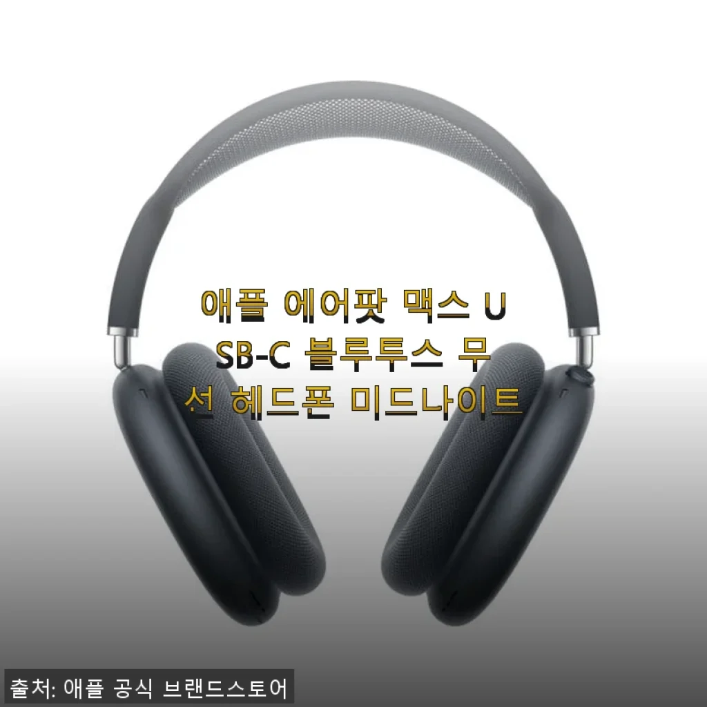 애플 에어팟 맥스 USB-C 미드나이트 사용 후기와 구매 경험