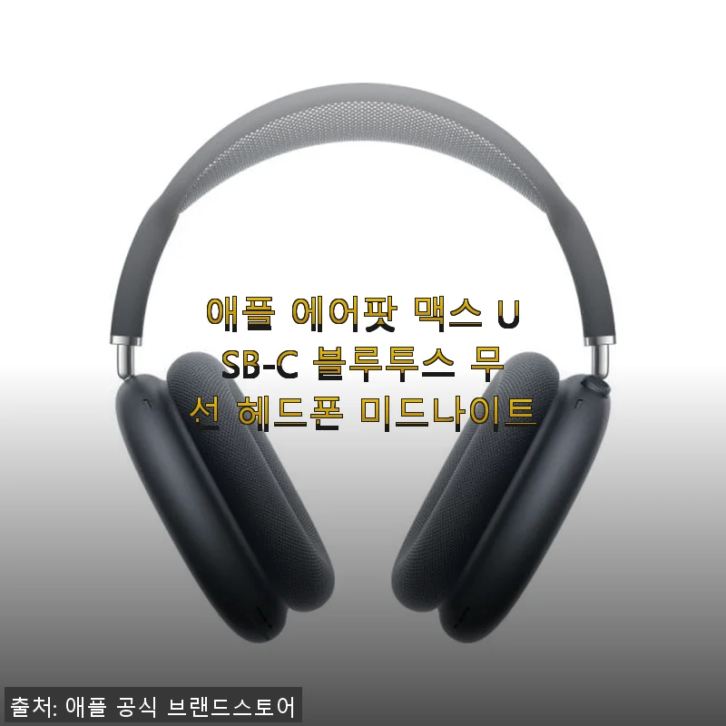 애플 에어팟 맥스 USB-C 미드나이트 사용 후기와 구매 경험