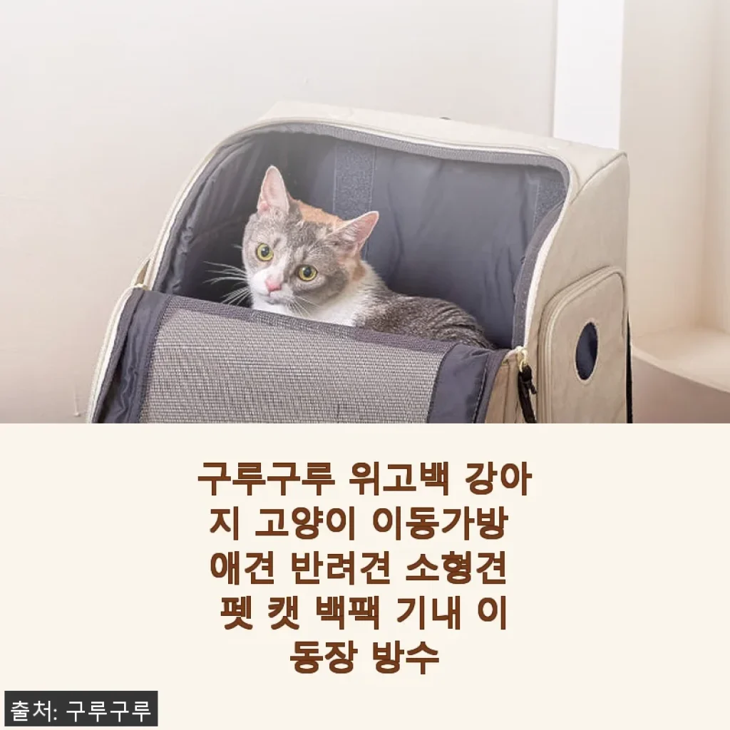 구루구루 위고백 강아지 고양이 이동가방 사용후기: 직접 써보니 편안함과 실용성 모두 만족!