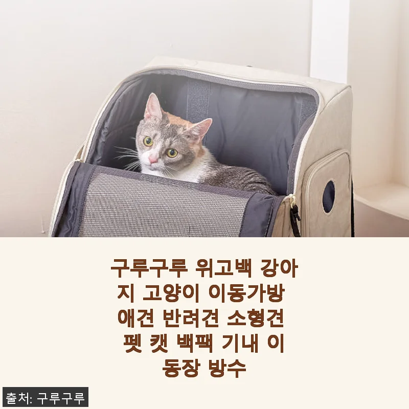구루구루 위고백 강아지 고양이 이동가방 사용후기: 직접 써보니 편안함과 실용성 모두 만족!
