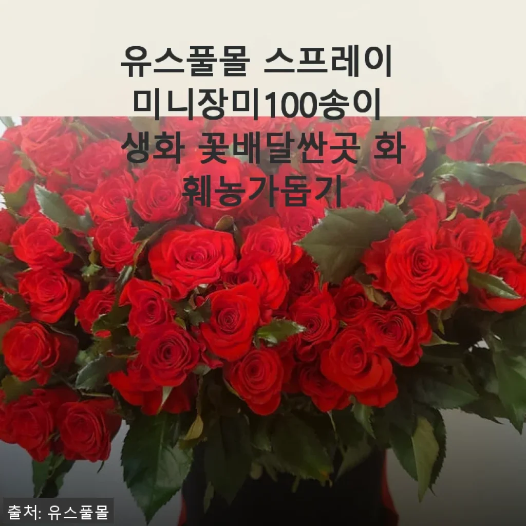 유스풀몰 스프레이 미니장미 100송이, 직접 써본 생화 꽃배달 후기