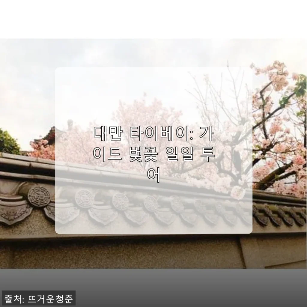 대만 타이베이: 가이드 벚꽃 일일 투어 사용후기와 솔직한 경험