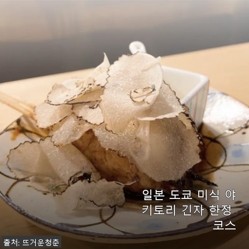 일본 도쿄 미식 야키토리 긴자 한정 코스 사용후기