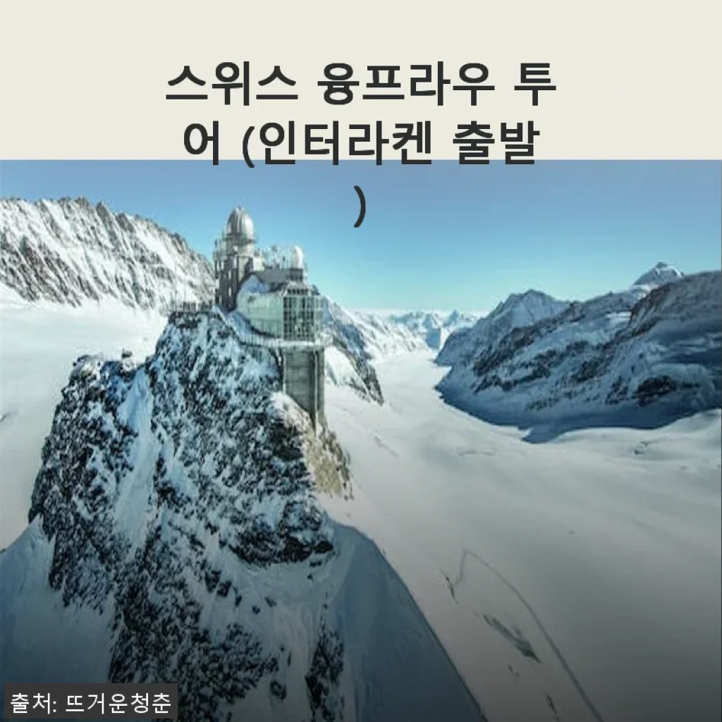 스위스 융프라우 투어 후기: 인터라켄 출발, 합리적인 가격으로 만나는 알프스의 절경