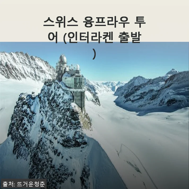 스위스 융프라우 투어 후기: 인터라켄 출발, 합리적인 가격으로 만나는 알프스의 절경