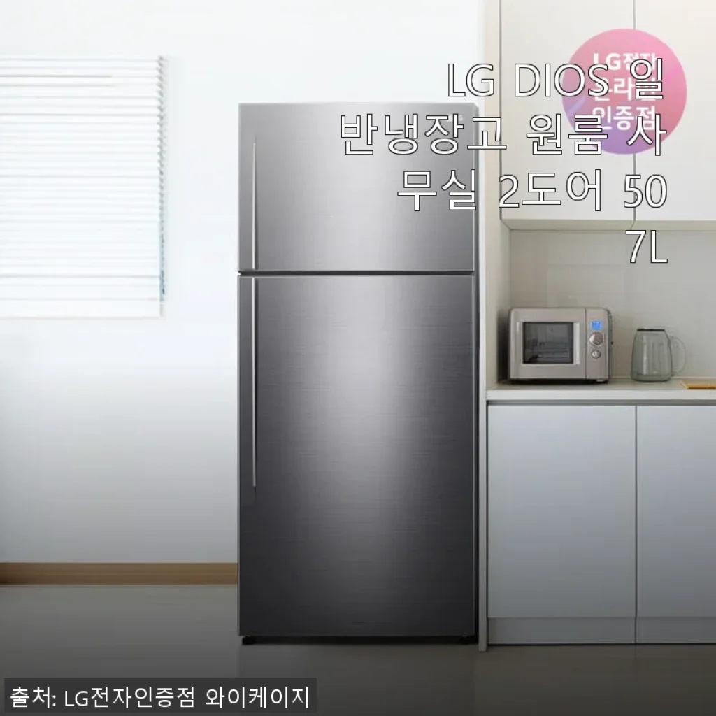 LG DIOS 일반냉장고 507L 사용후기: 원룸과 가족 모두 만족한 선택