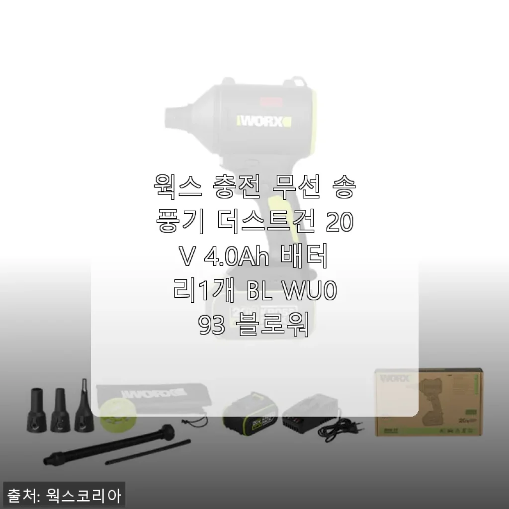 웍스 충전 무선 송풍기 더스트건 20V 4.0Ah 사용후기: 직접 써보니 어떤가요?