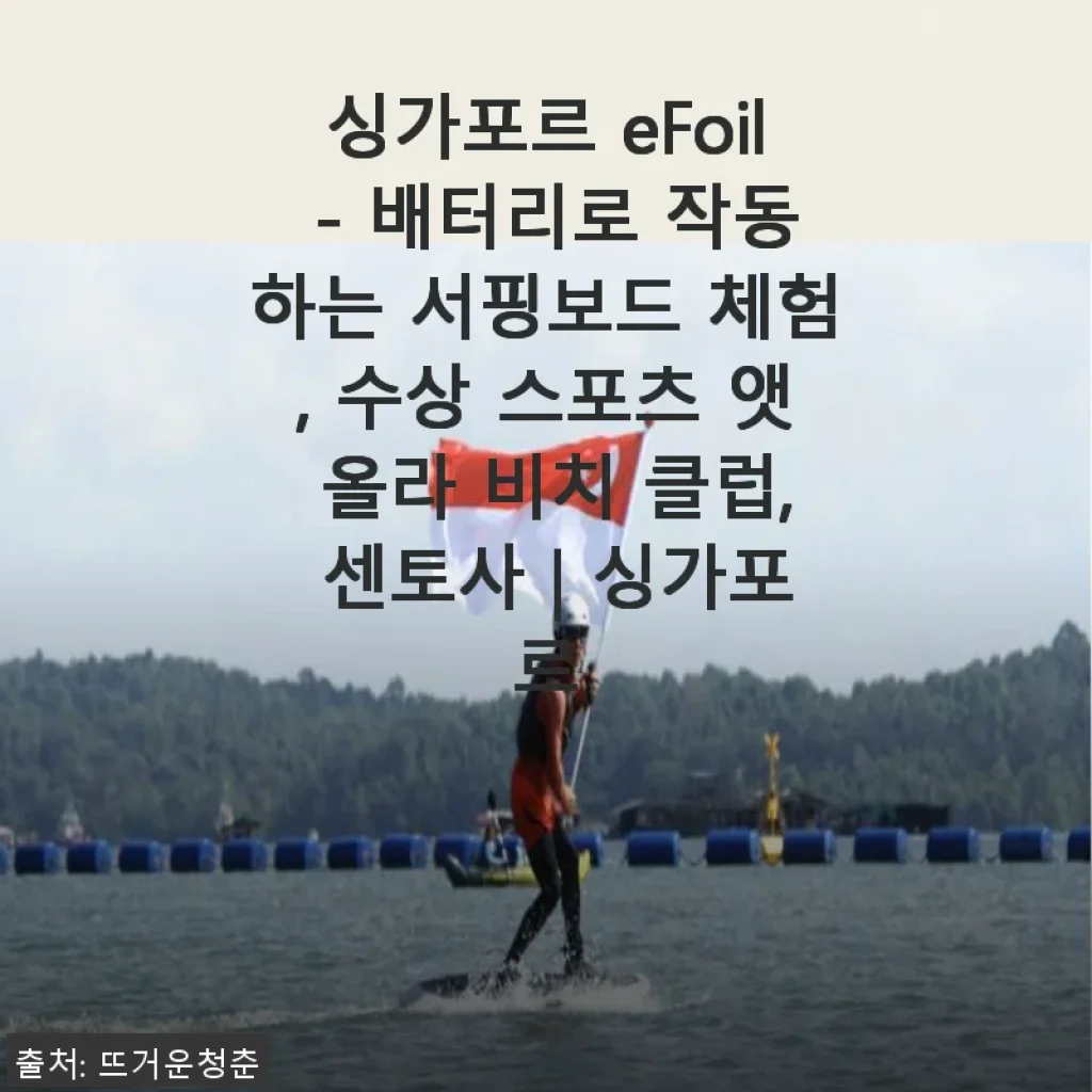 싱가포르 eFoil 체험 후기 - 배터리로 즐기는 신개념 수상 스포츠