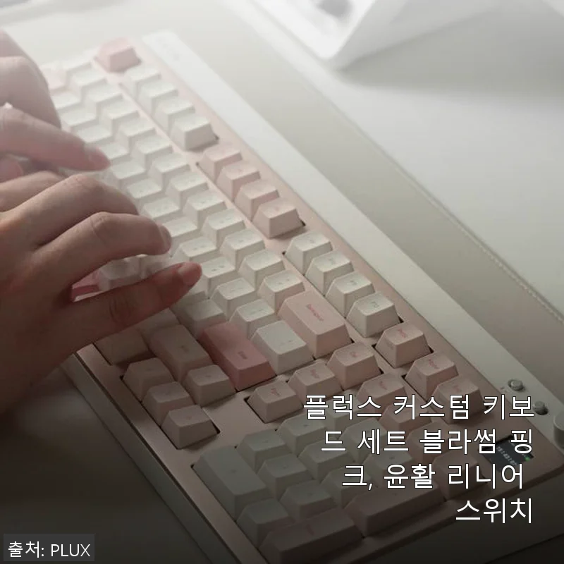 플럭스 커스텀 키보드 세트 블라썸 핑크 사용후기 - 세련된 디자인과 감각적인 타건감의 조화