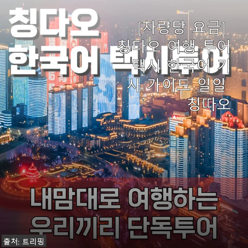 칭다오 여행 투어 택시 한국어 기사 가이드 일일 투어 사용후기