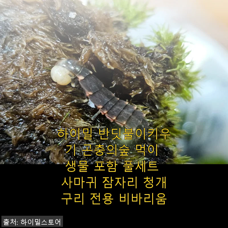 하이밀 반딧불이키우기 곤충의숲 풀세트 사용후기