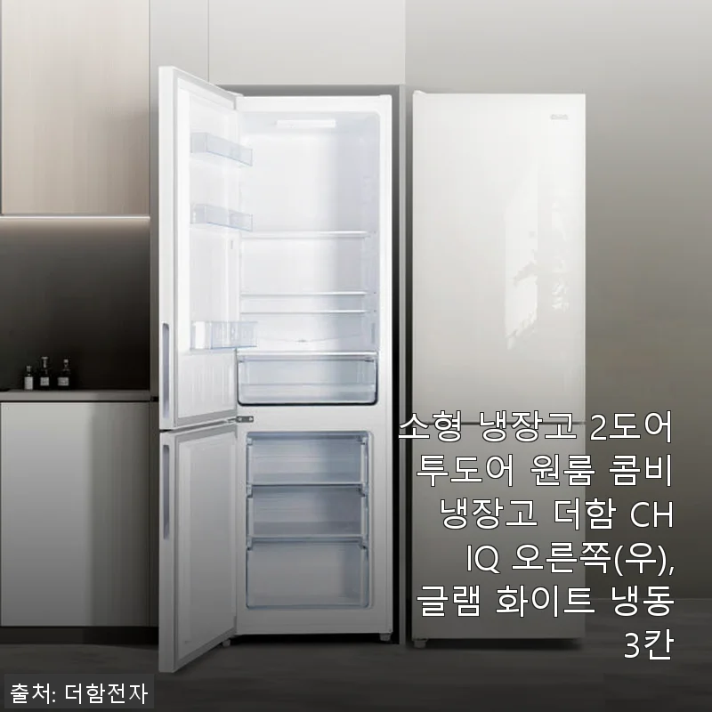 더함 CHIQ 2도어 소형 냉장고 사용후기: 원룸과 1인가구에 딱 맞는 선택