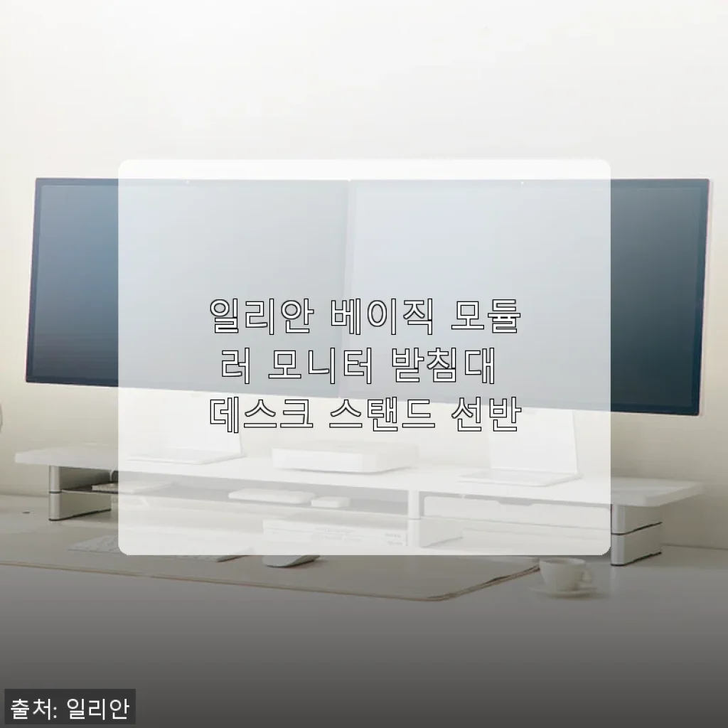 일리안 베이직 모듈러 모니터 받침대 사용후기와 데스크 환경 변화 이야기