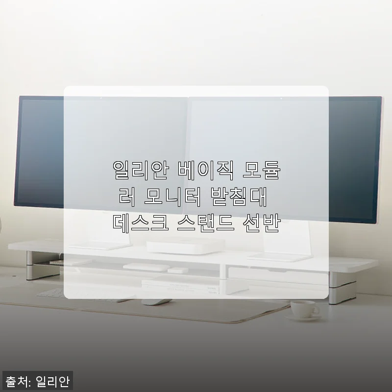 일리안 베이직 모듈러 모니터 받침대 사용후기와 데스크 환경 변화 이야기