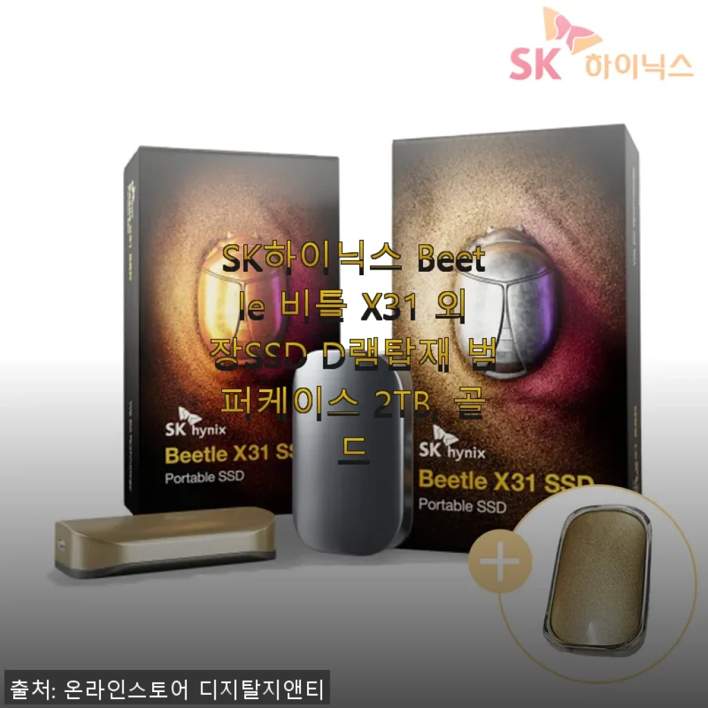 SK하이닉스 Beetle X31 2TB 외장SSD 사용후기: 빠른 속도와 휴대성에 감탄한 경험
