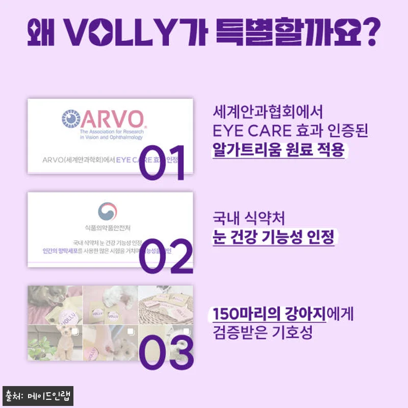 볼리 알가트리움 강아지 오메가3 눈 관련 이미지 2