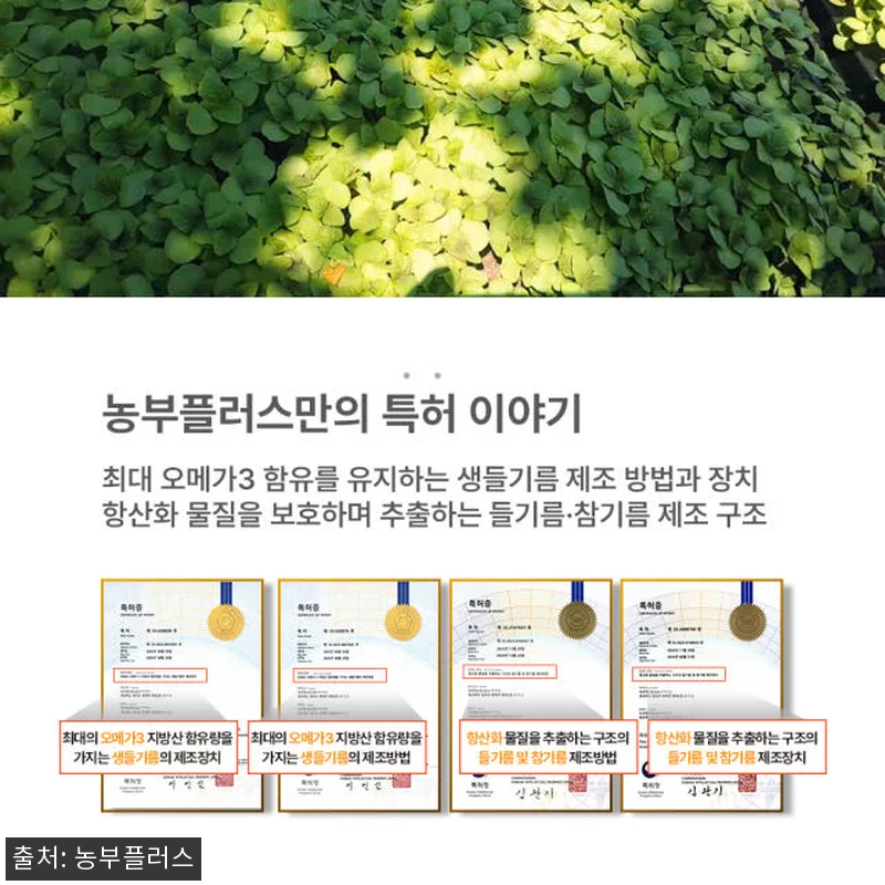 국산 냉압착 생들기름 저온압착 들기름 관련 이미지 2