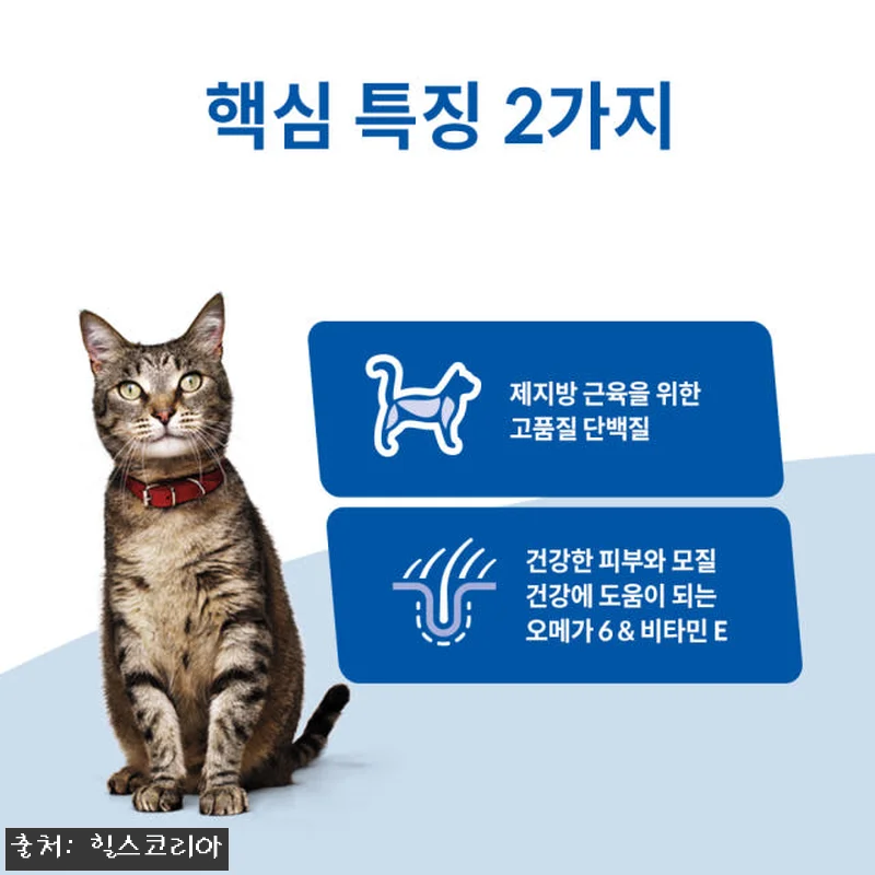 힐스 고양이사료 어덜트 2kg x 2 관련 이미지 2