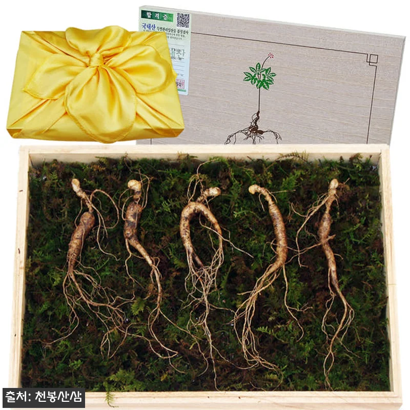 아리아리산삼 8년근 10뿌리 산양삼 관련 이미지 2